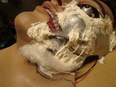 Building Up the Skin