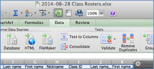 Click the Remove Duplicates Icon