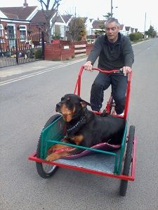 The Tyler Trike / Cargo bike