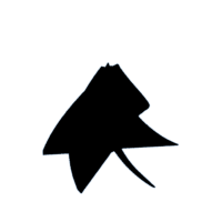 download {{ file.name }}