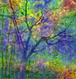 Watching Your Own Anger