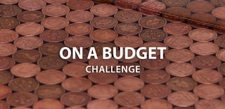 On a Budget Challenge