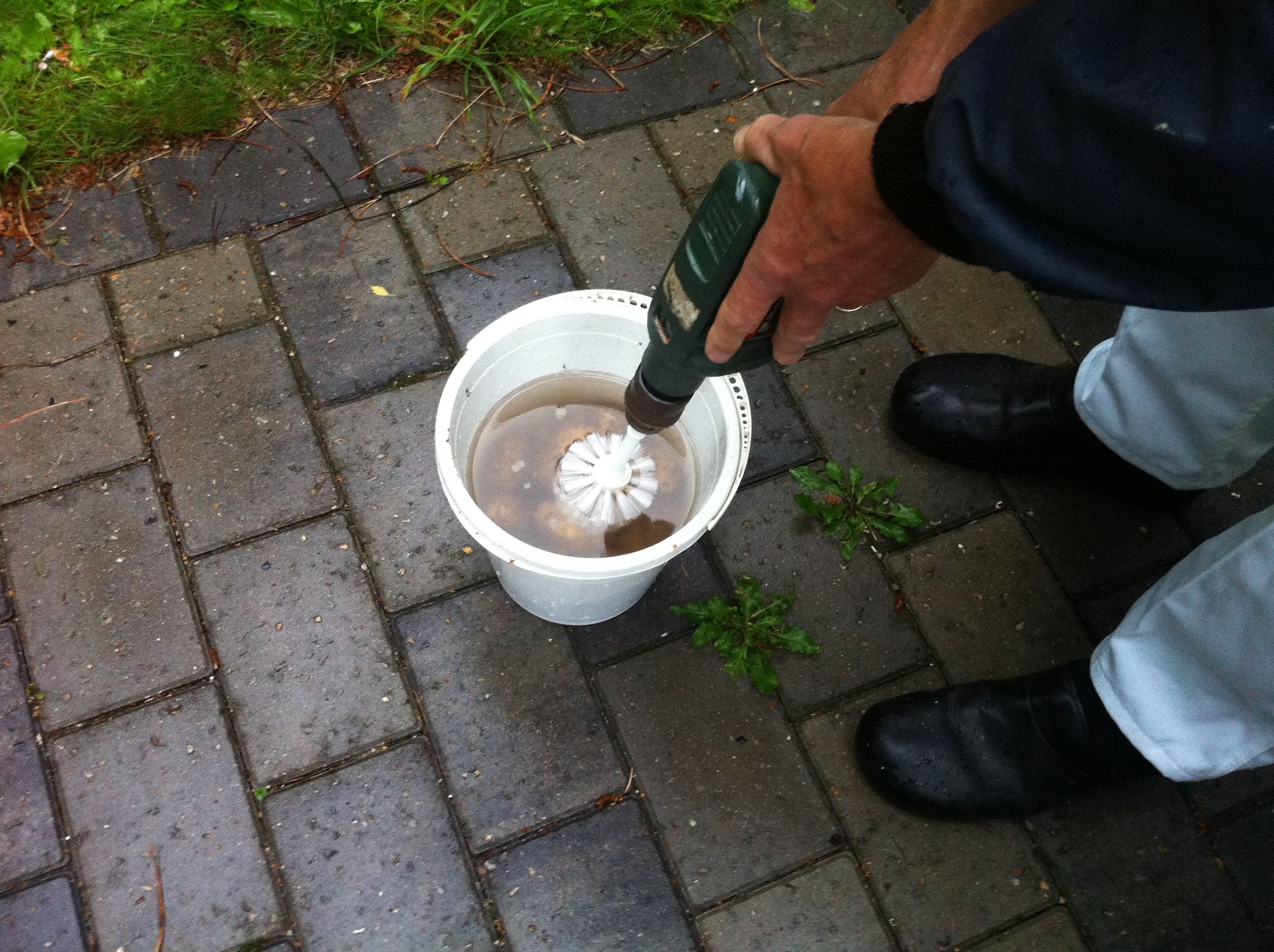 How to Scrub Potatoes in Less Than a Minute