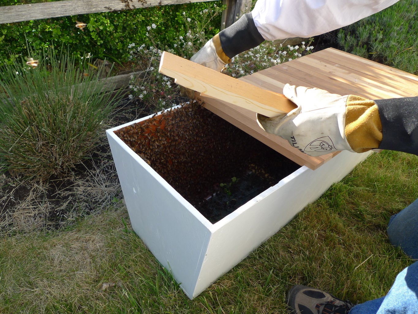how to get rid of a swarm of bees
