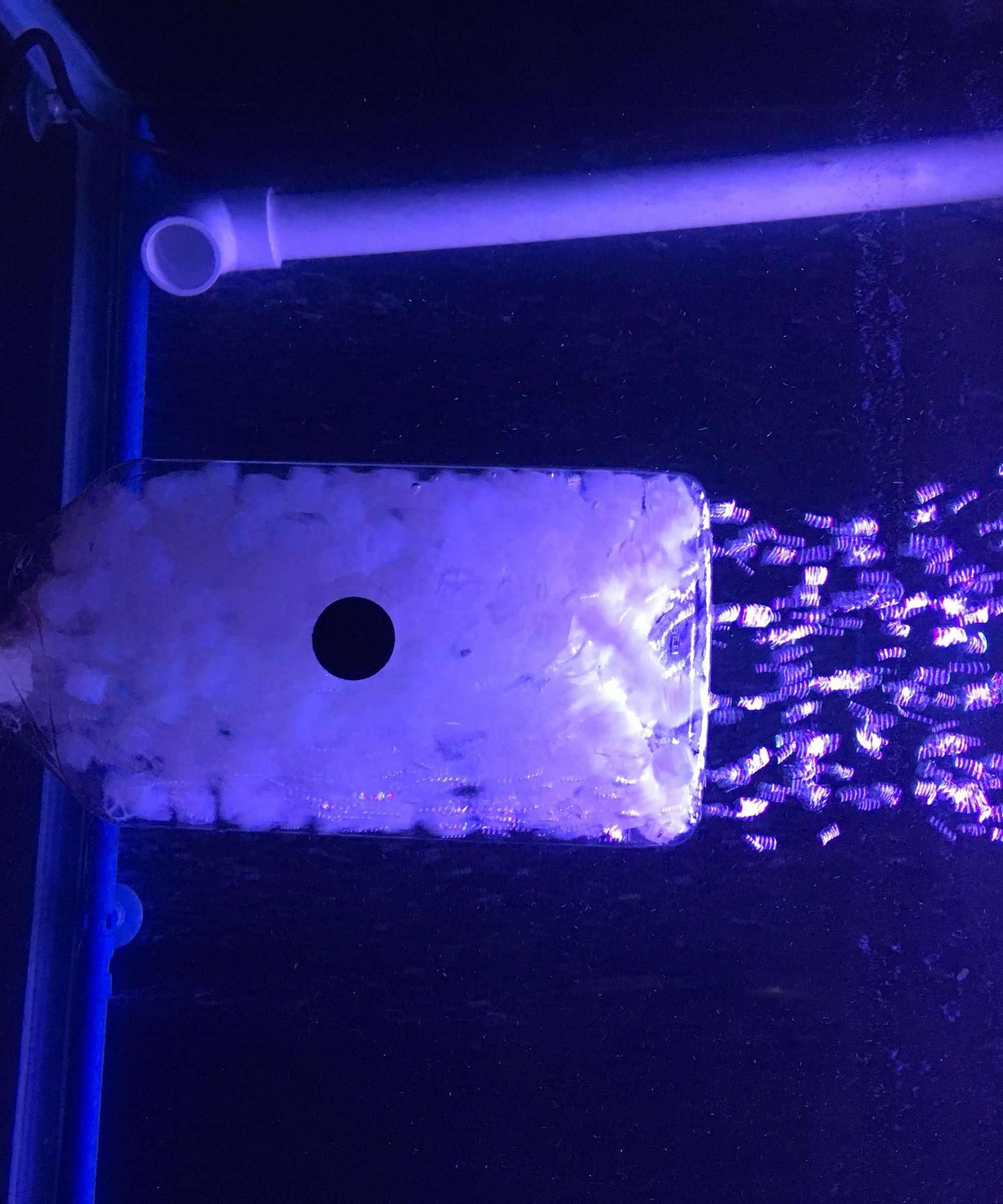 Aquarium Filtration: Moving Bed Biofilm Reactor (MBBR)