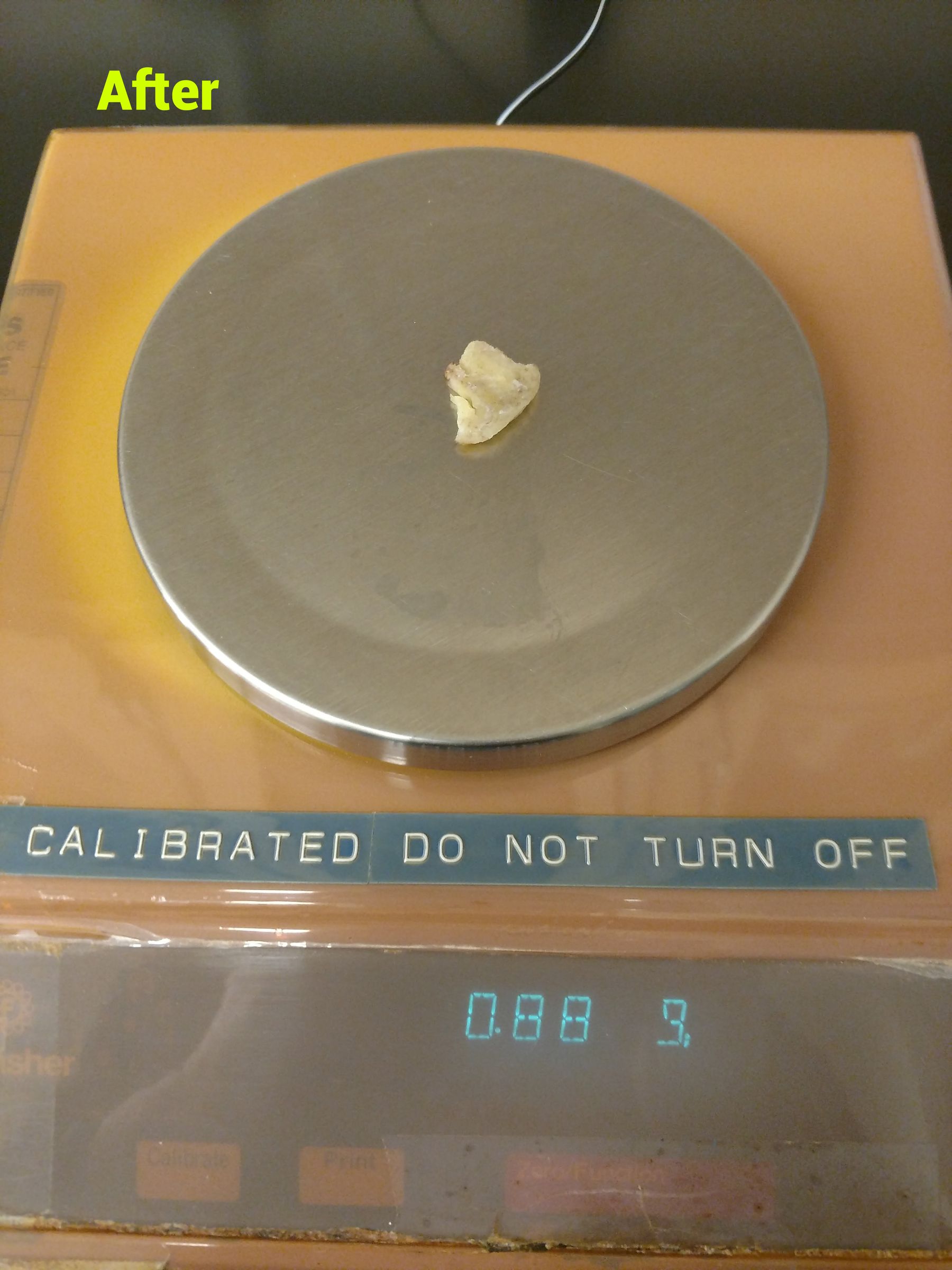 A Biodegradability Experiment You Can Do With Kids! : 8 Steps ...