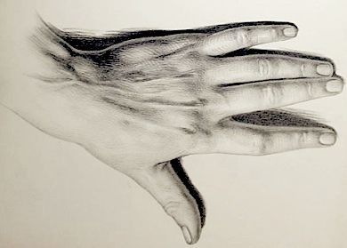 Realistic Drawing-Techniques and Tools