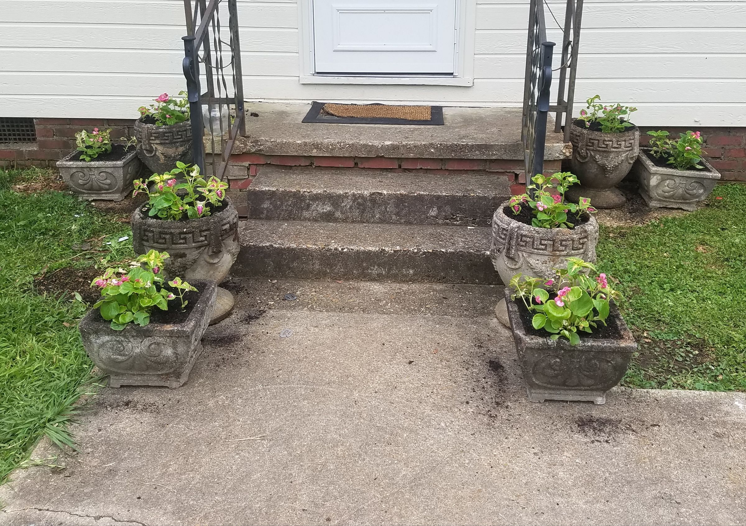 Planting Annuals in Flower Pots