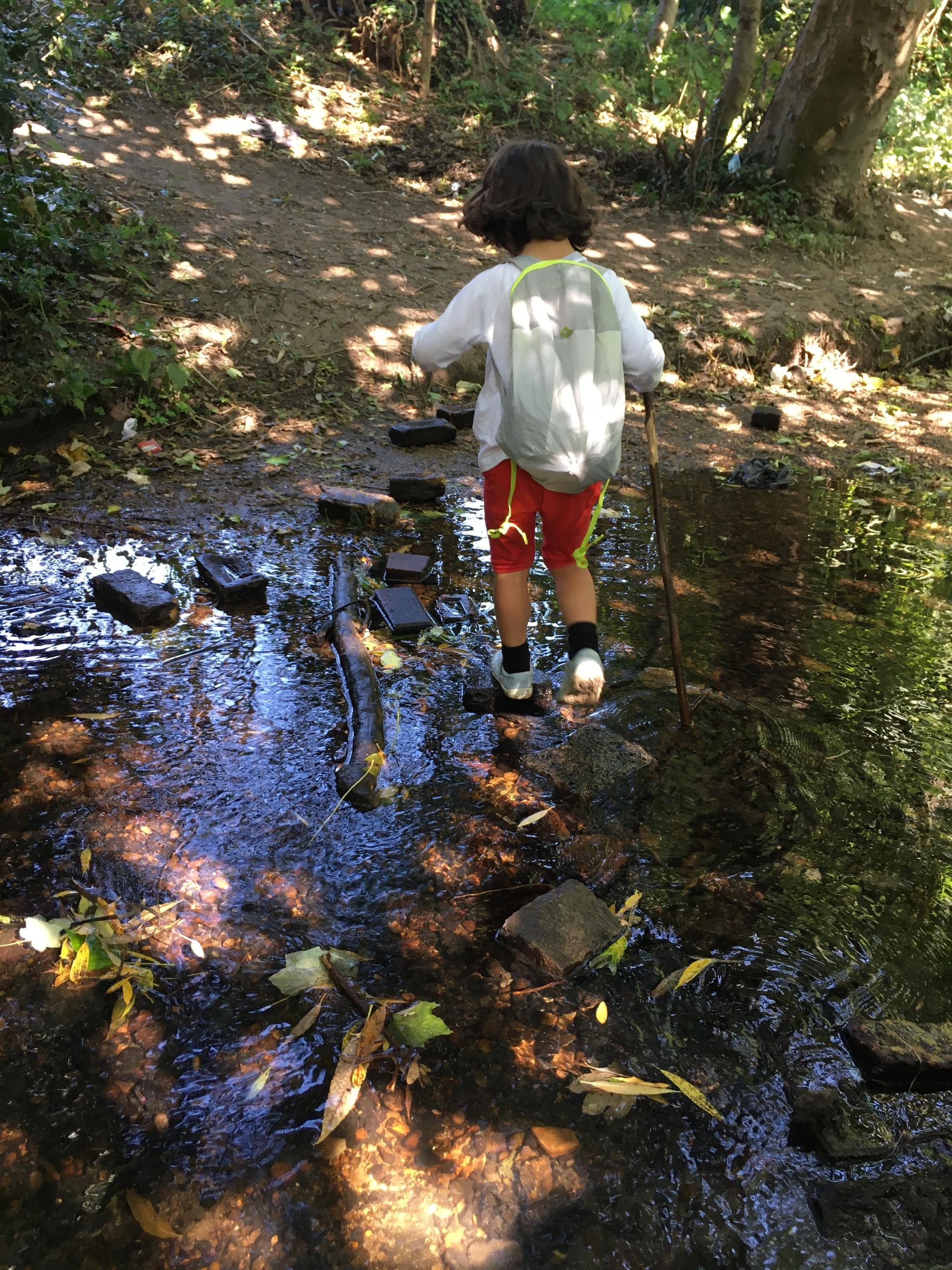 The River Clay Project From Riverbed to Dining Table 36 Steps (with