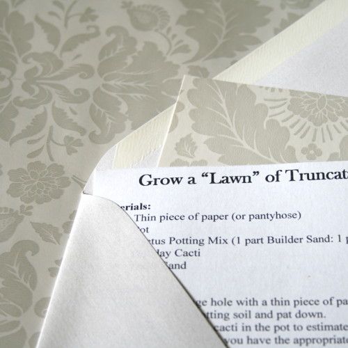 Make an Alternative Holiday Newsletter (Recipe Card Style)