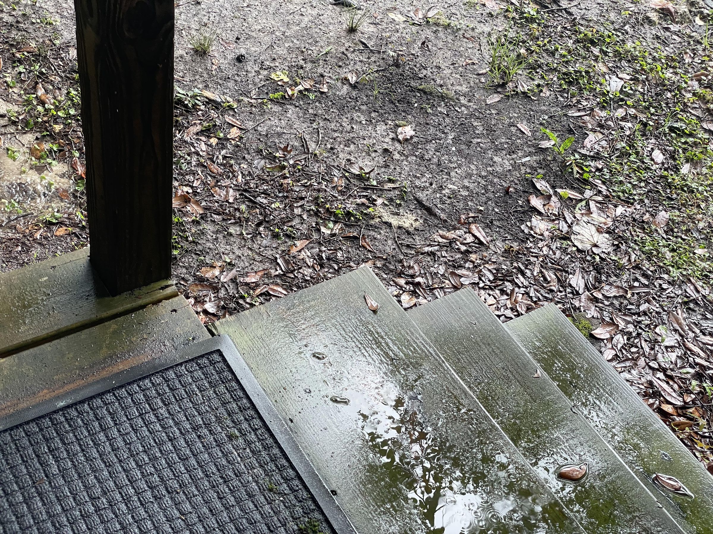 Control Moss With Laundry Detergent 4 Steps Instructables