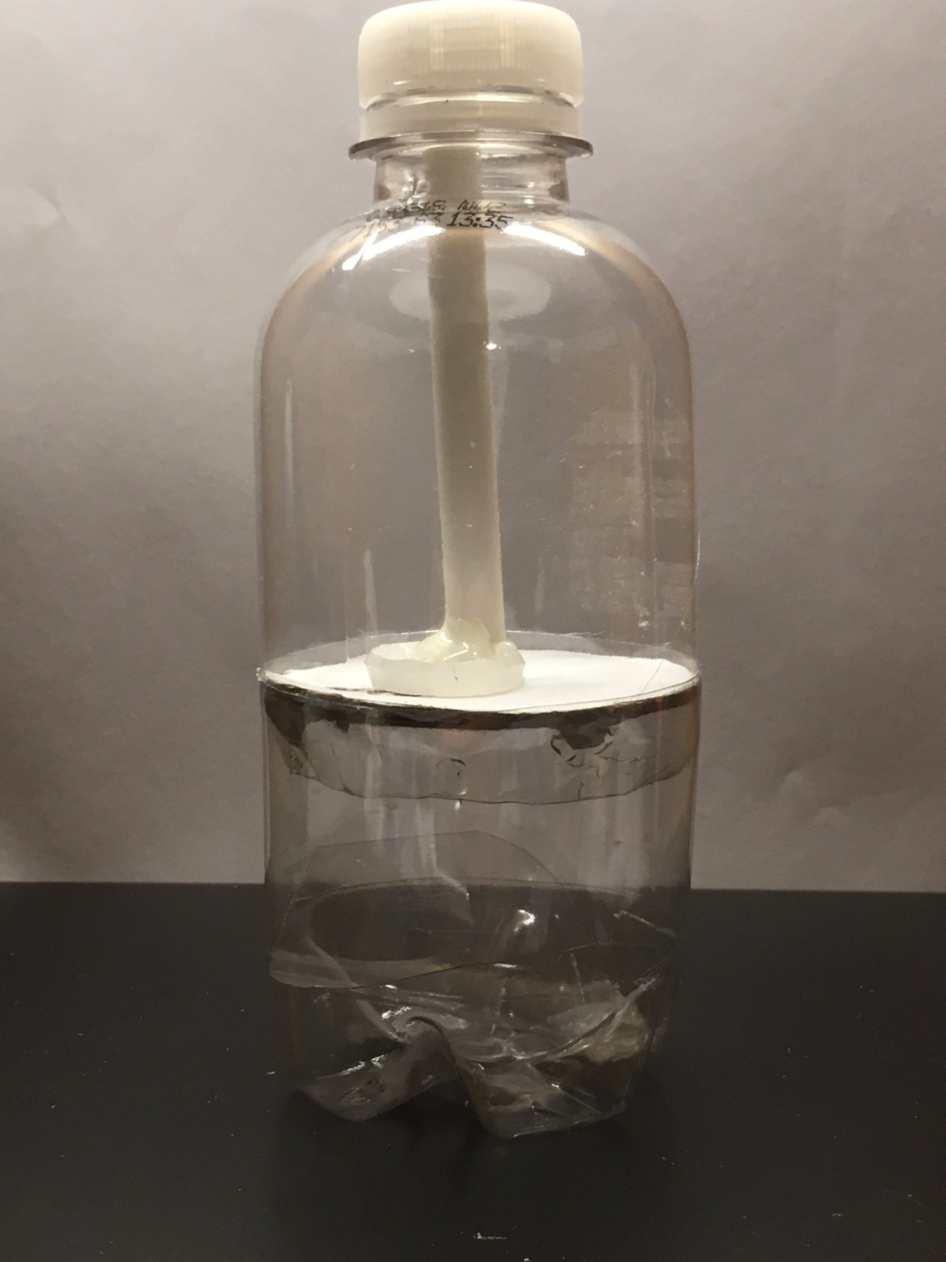 Bottle Candy Dispenser 10 Steps Instructables