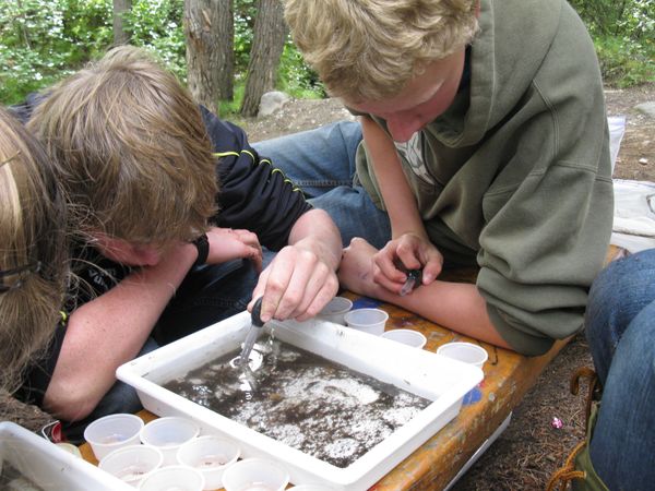 Surber Sampler for Aquatic Invertebrates : 4 Steps (with Pictures ...