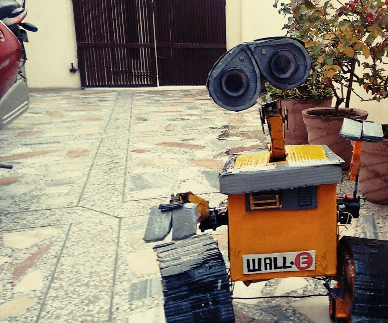 Wall-e homemade