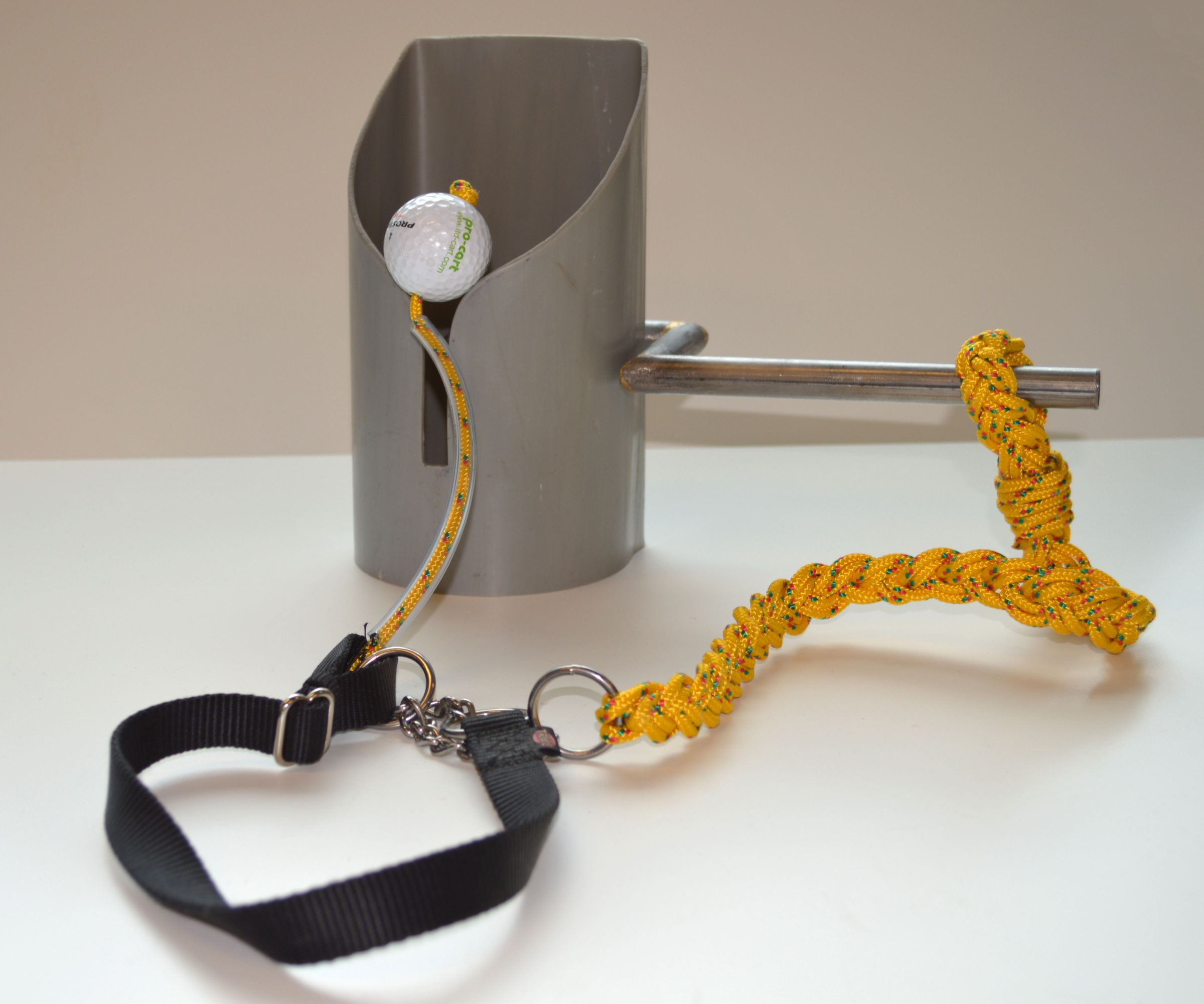 DIY Dog Leash System Helping Disabled People