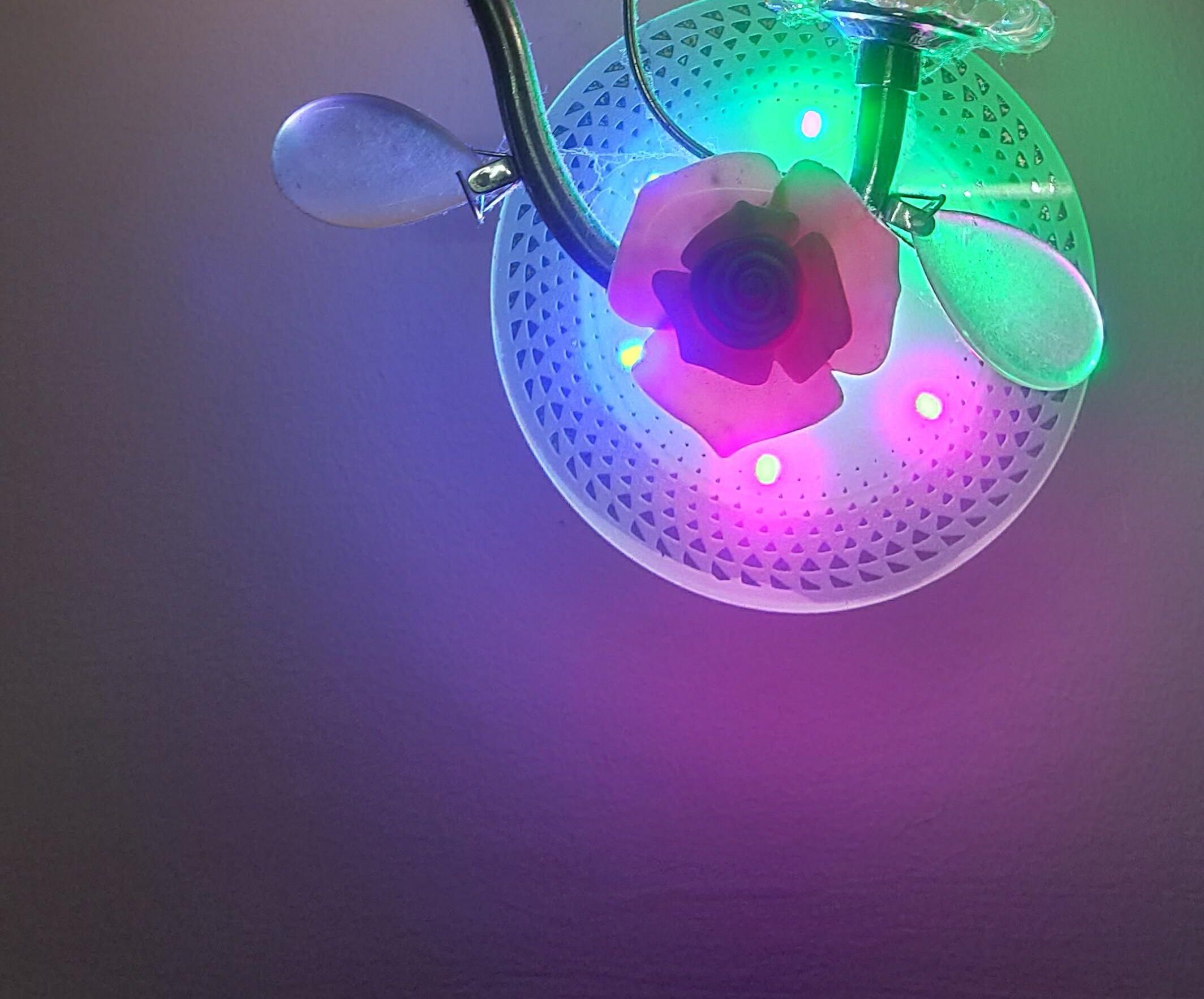 Decorative Lamp