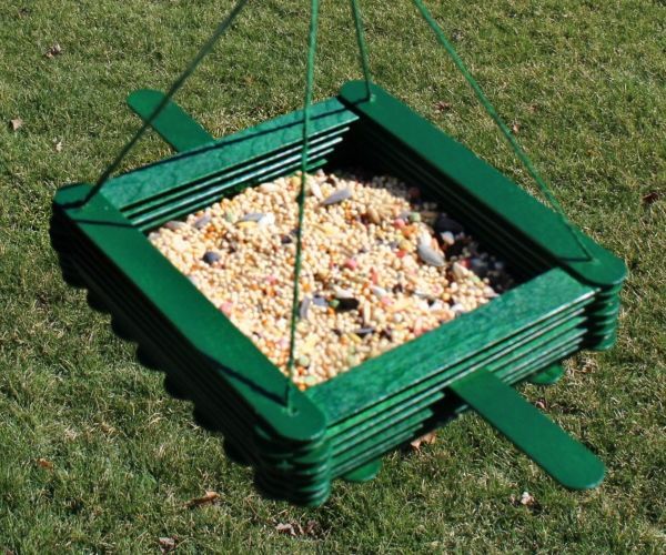 Make a Bird Feeder With Craft Sticks