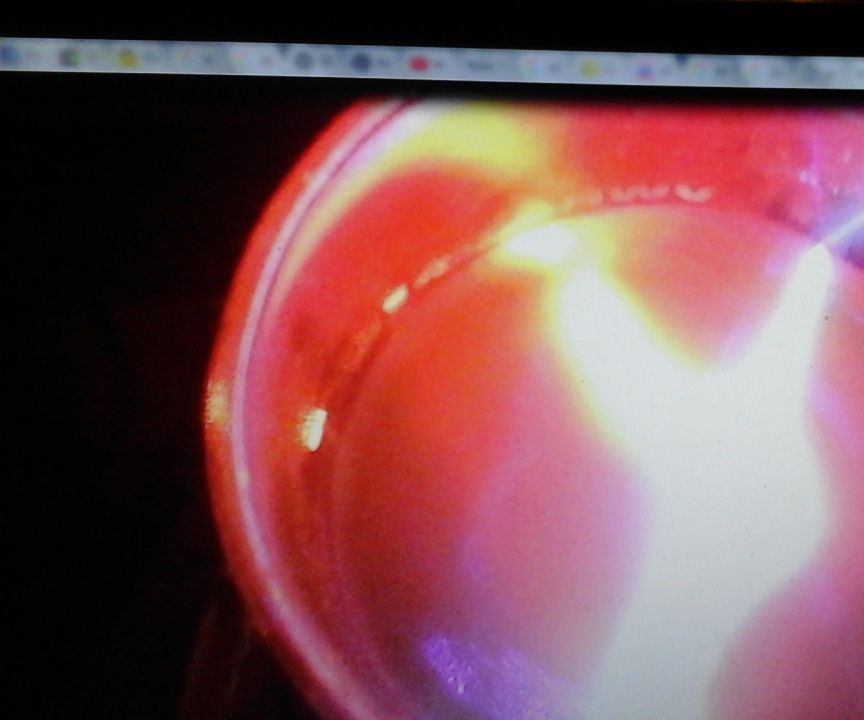 Laser Light Show With Beaker, Yellow Dye, Quinine, Niacin Energy Drink, Mountain Dew, Etc in Water and an Electric Stirrer. 