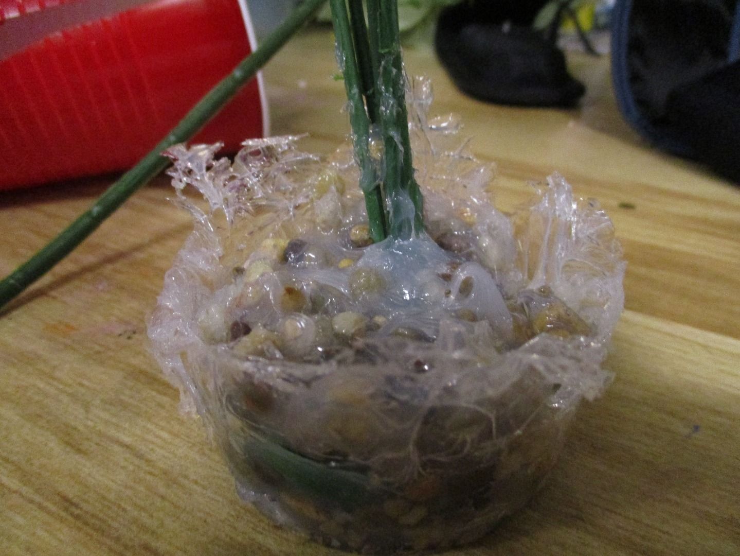 Fake Aquarium Plants 4 Steps (with Pictures) Instructables