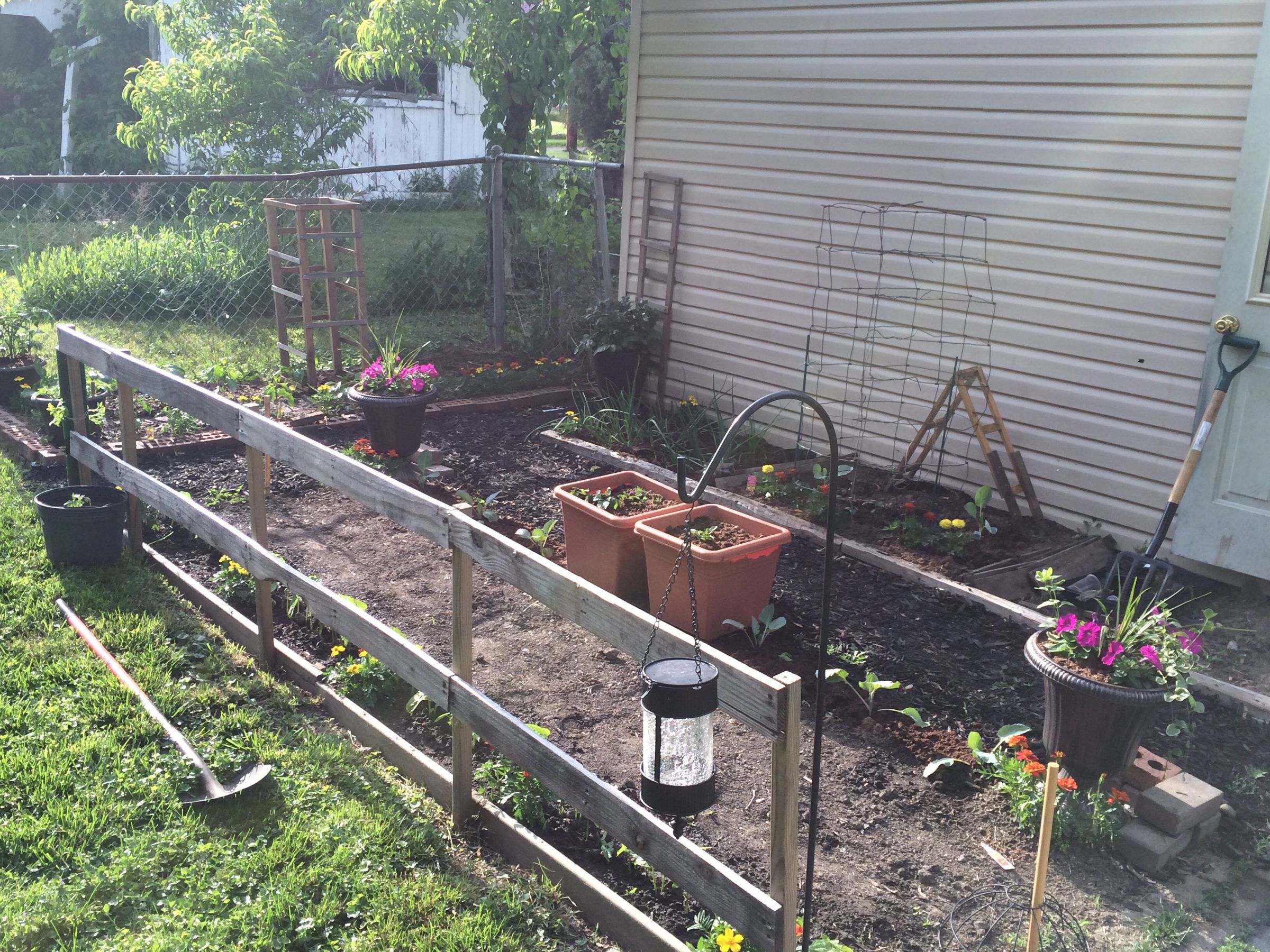 Backyard Garden 2015