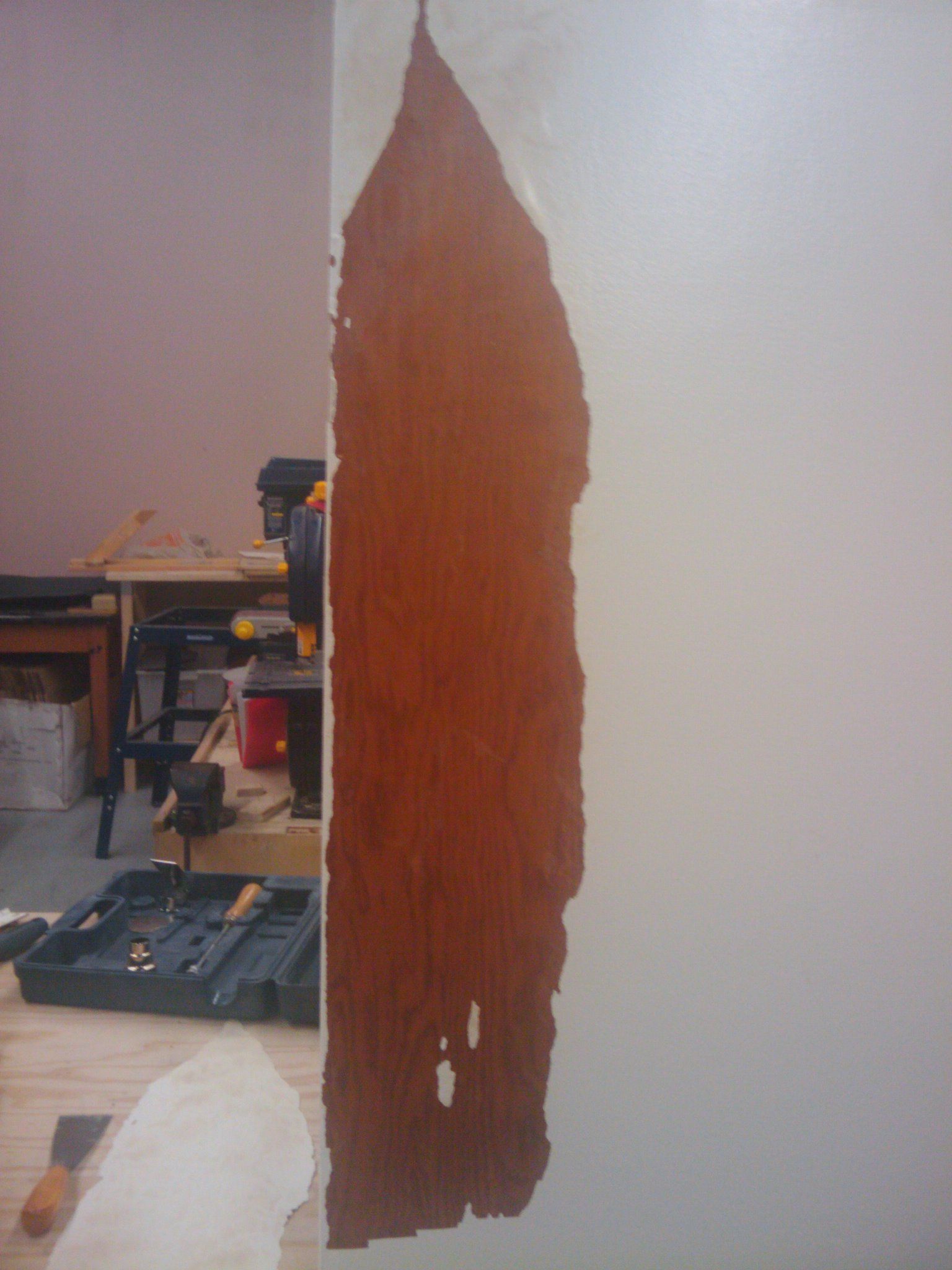 How to Strip Paint From an Old Door. 8 Steps (with Pictures