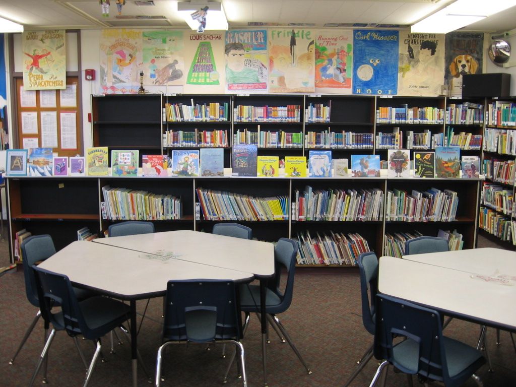 Book Display for Children's Library Books