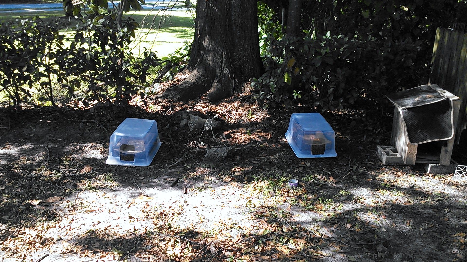 Cat Houses for Our Feral Friends