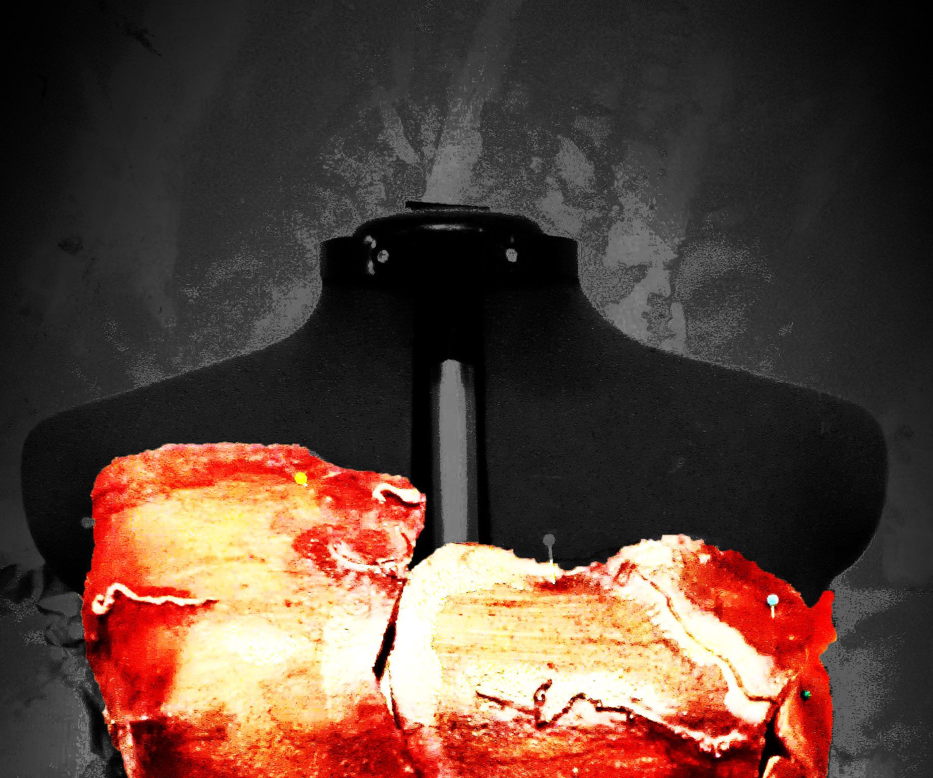 Zombie / Serial Killer Corset