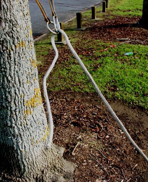 how to tie a rope to a tree branch