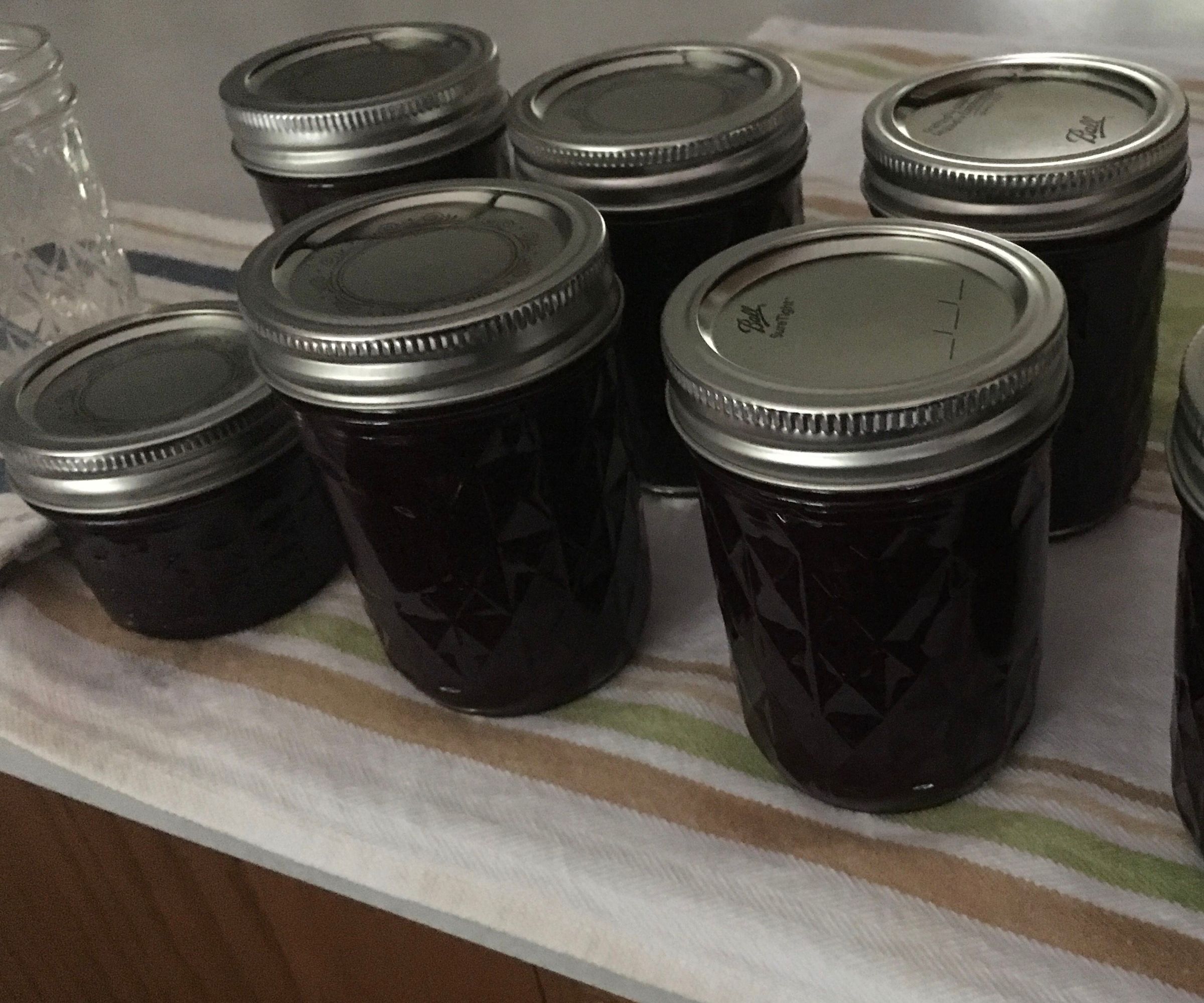 Blueberry Butter