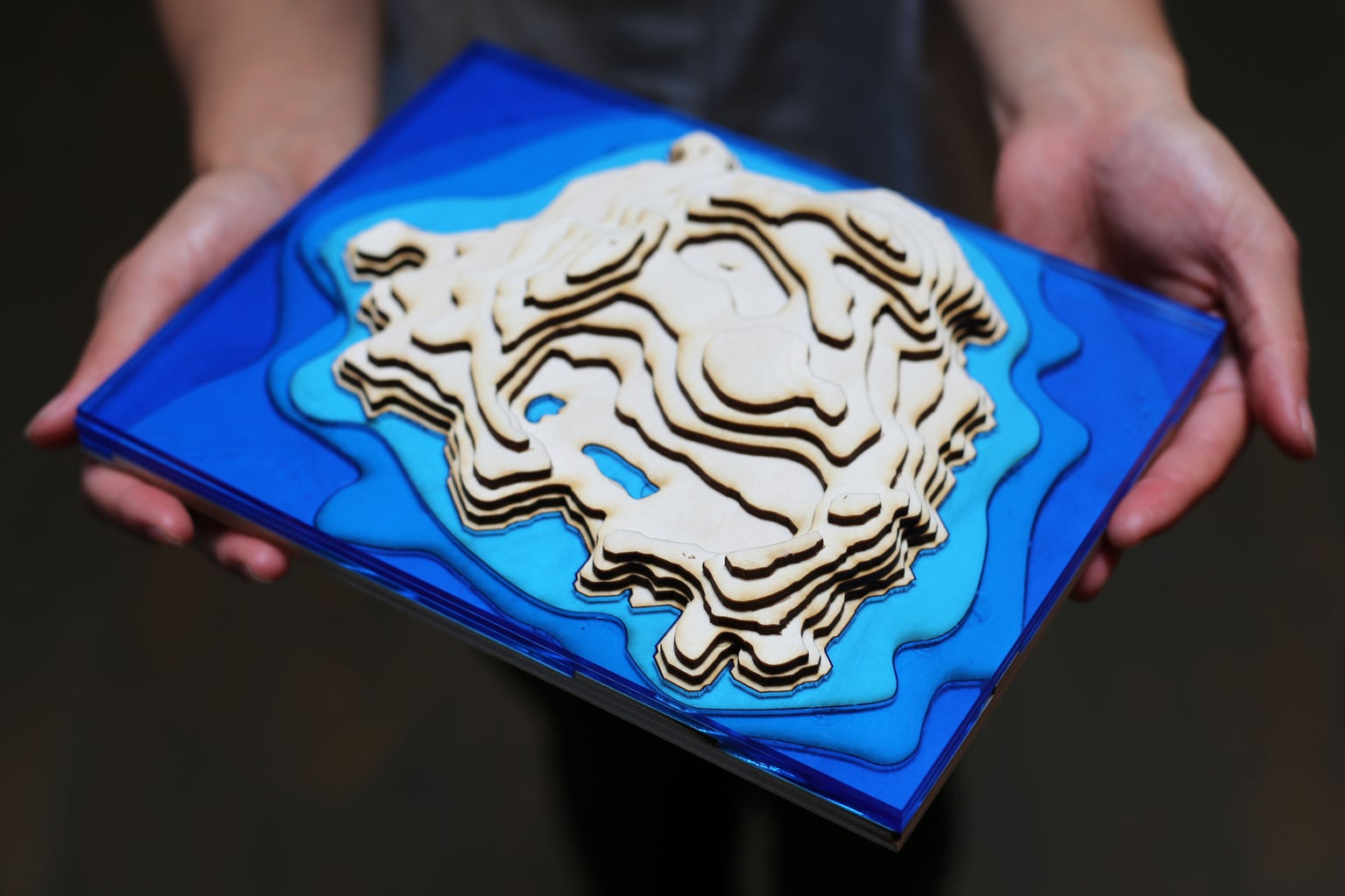 Easy 3D Topographical Maps With Slicer