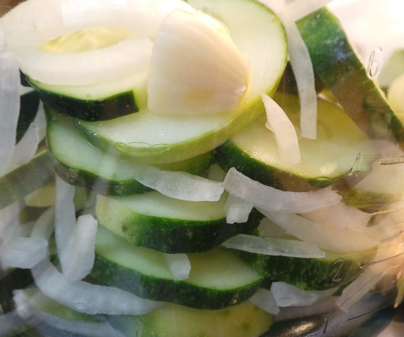 Refrigerator Pickles-First Attempt