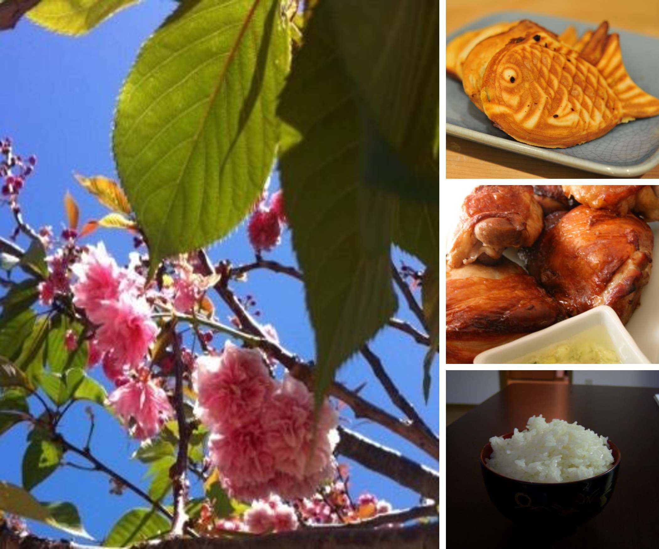 Japanese Food