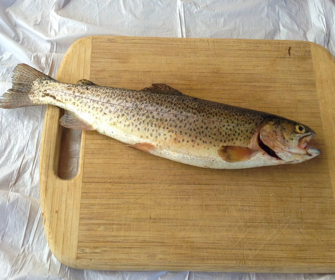 How to Grill Trout