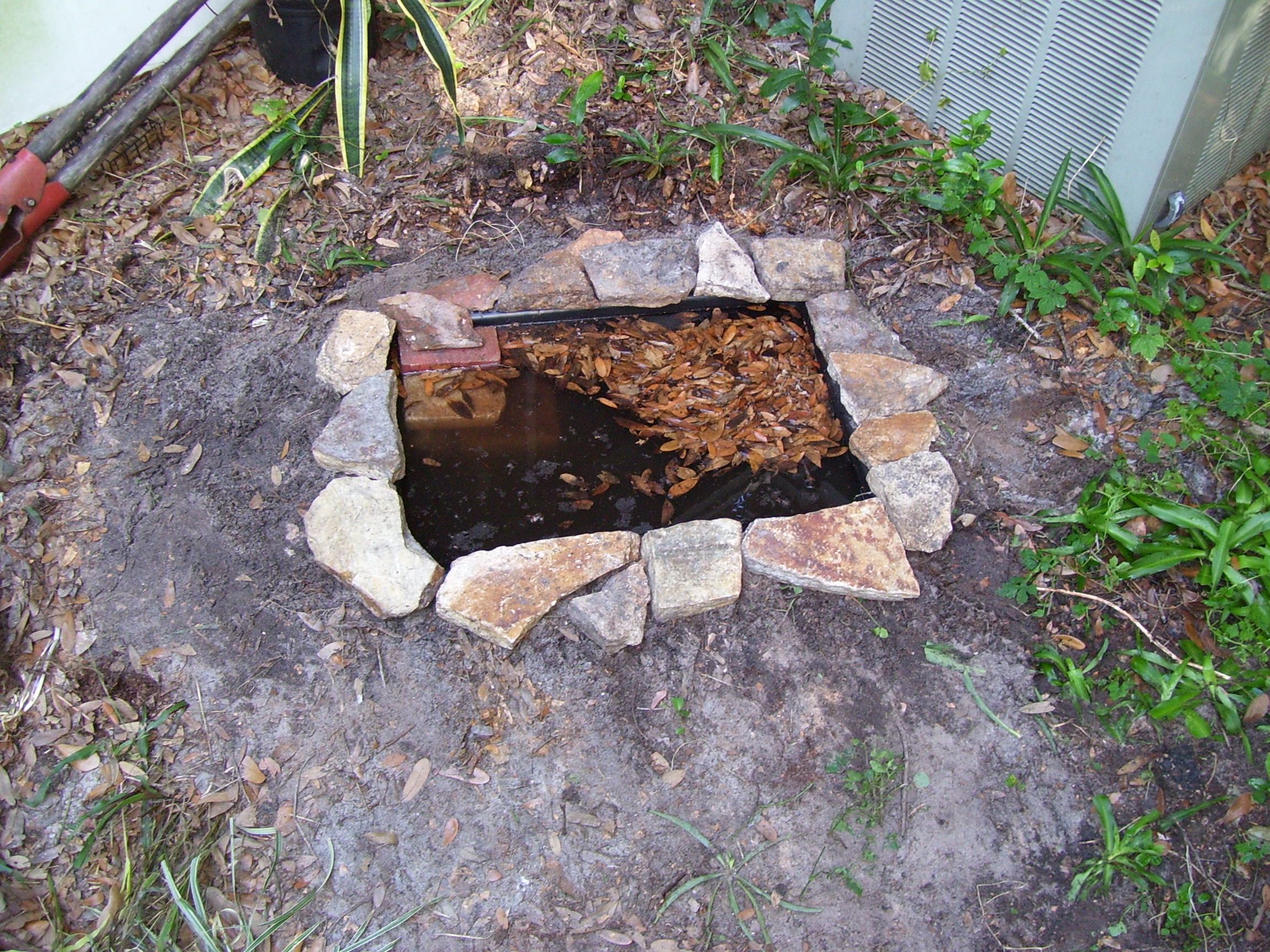 Recreate a Vanishing Ecosystem : the Eastern Vernal Pool