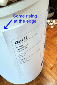 Printing the Labels and Taping Them to the Can