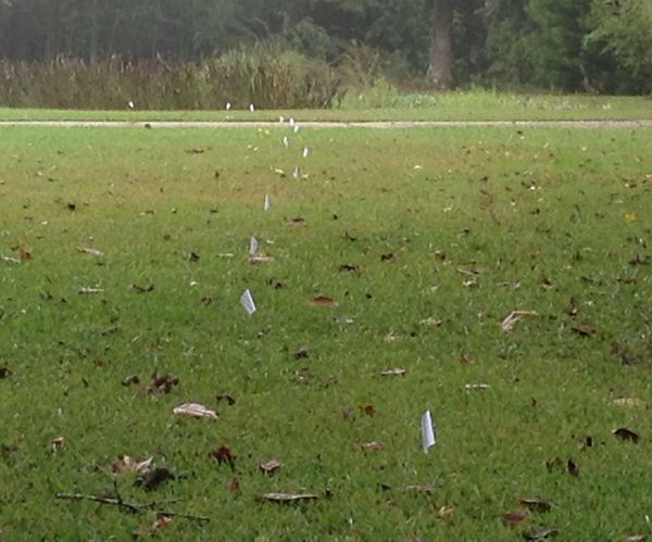 Install an Underground Fence