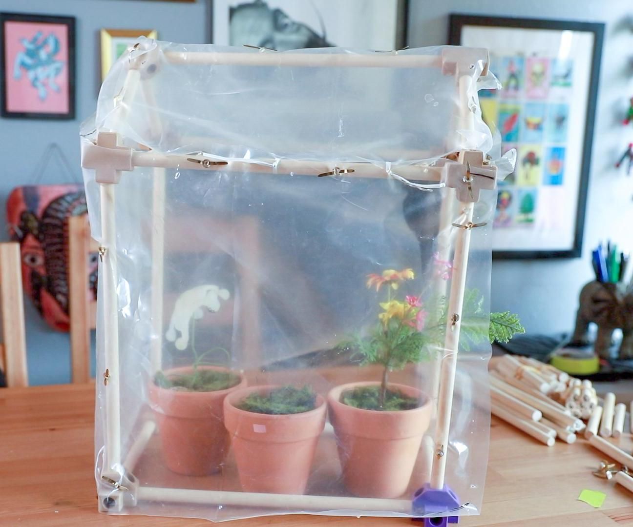 Design and Build a Customizable Tabletop Greenhouse