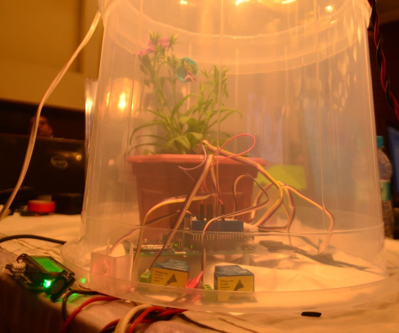 ​GREENBIT - MAKE IT GROW (INTEL IOT)