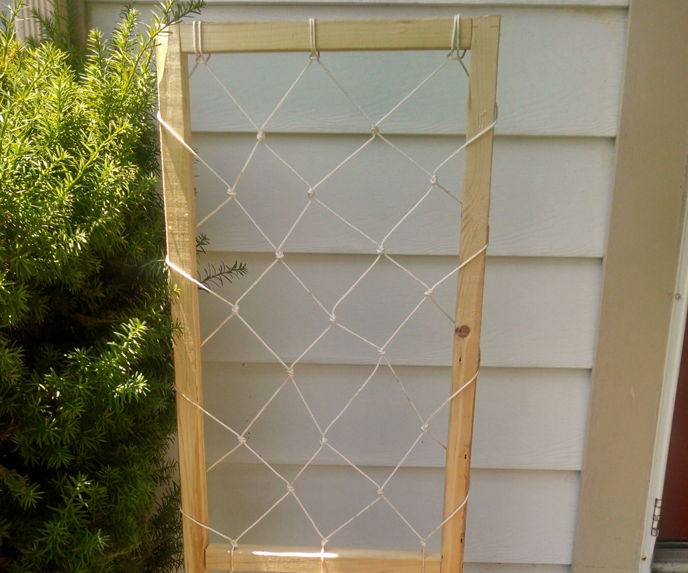 Macrame Trellis