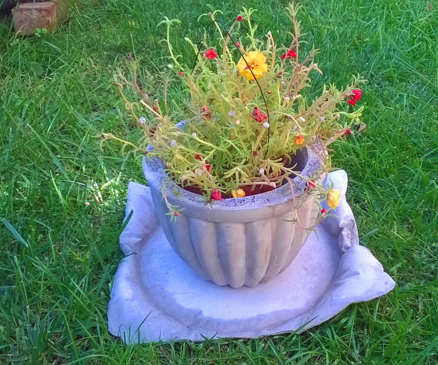 Concrete Planter and Concrete 'pillow' Plate