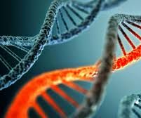 Where to Get More Details About Genetics Tests Online
