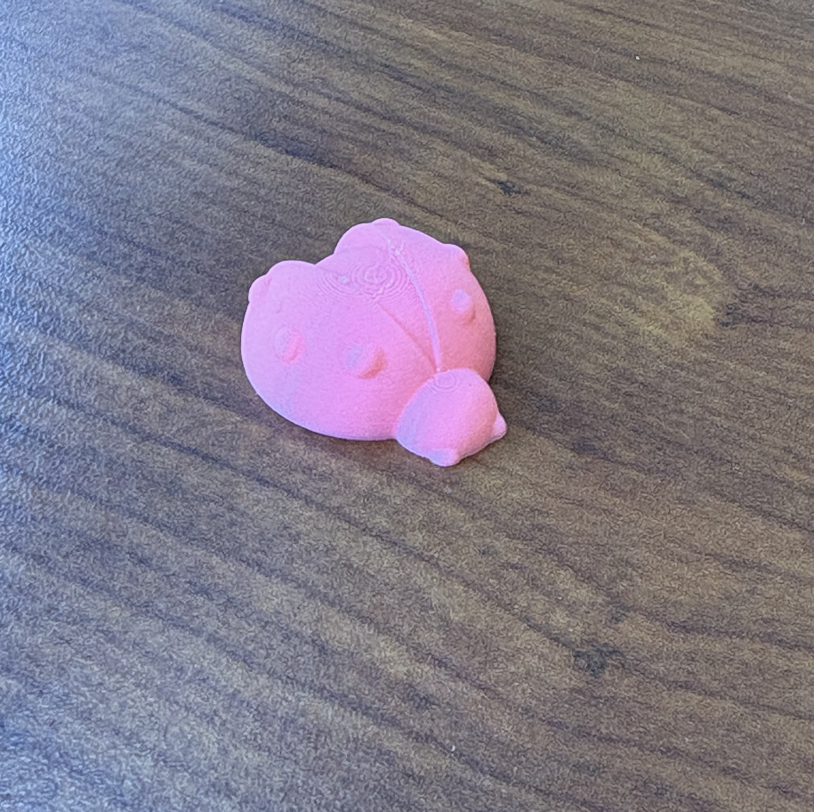 Chocolate 3D Printed Ladybug