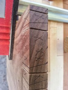 Transfer and Saw the Pins