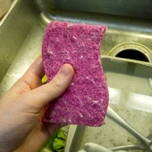 Dishsoap and Sponges