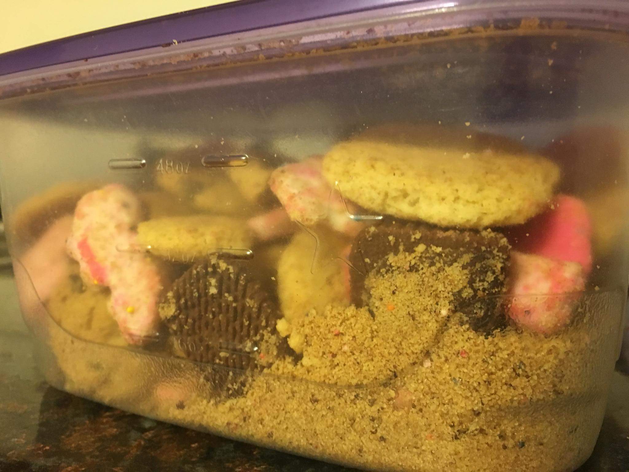 Mother's Cookie Parade 6 Steps Instructables