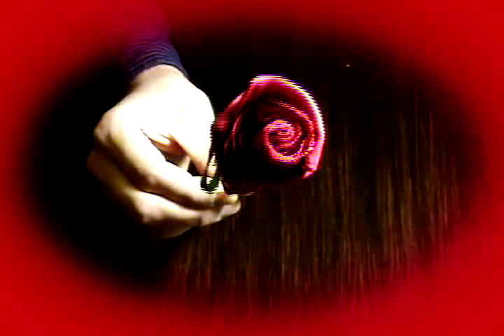 Best Valentine's Gift