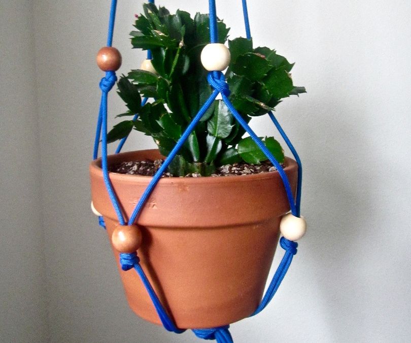 Paracord Plant Hanger