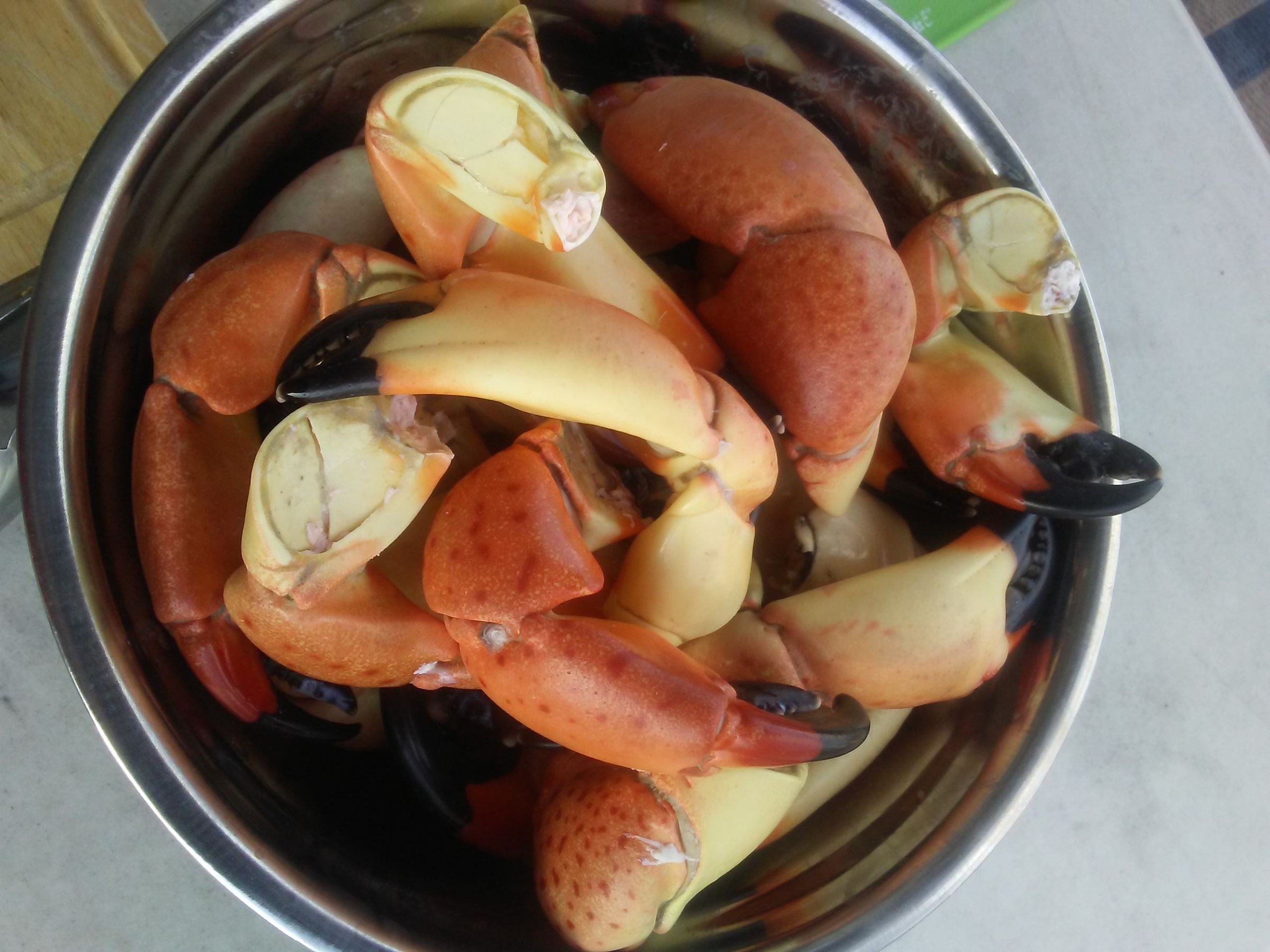 Stone Crab Claw Cracker 7 Steps Instructables