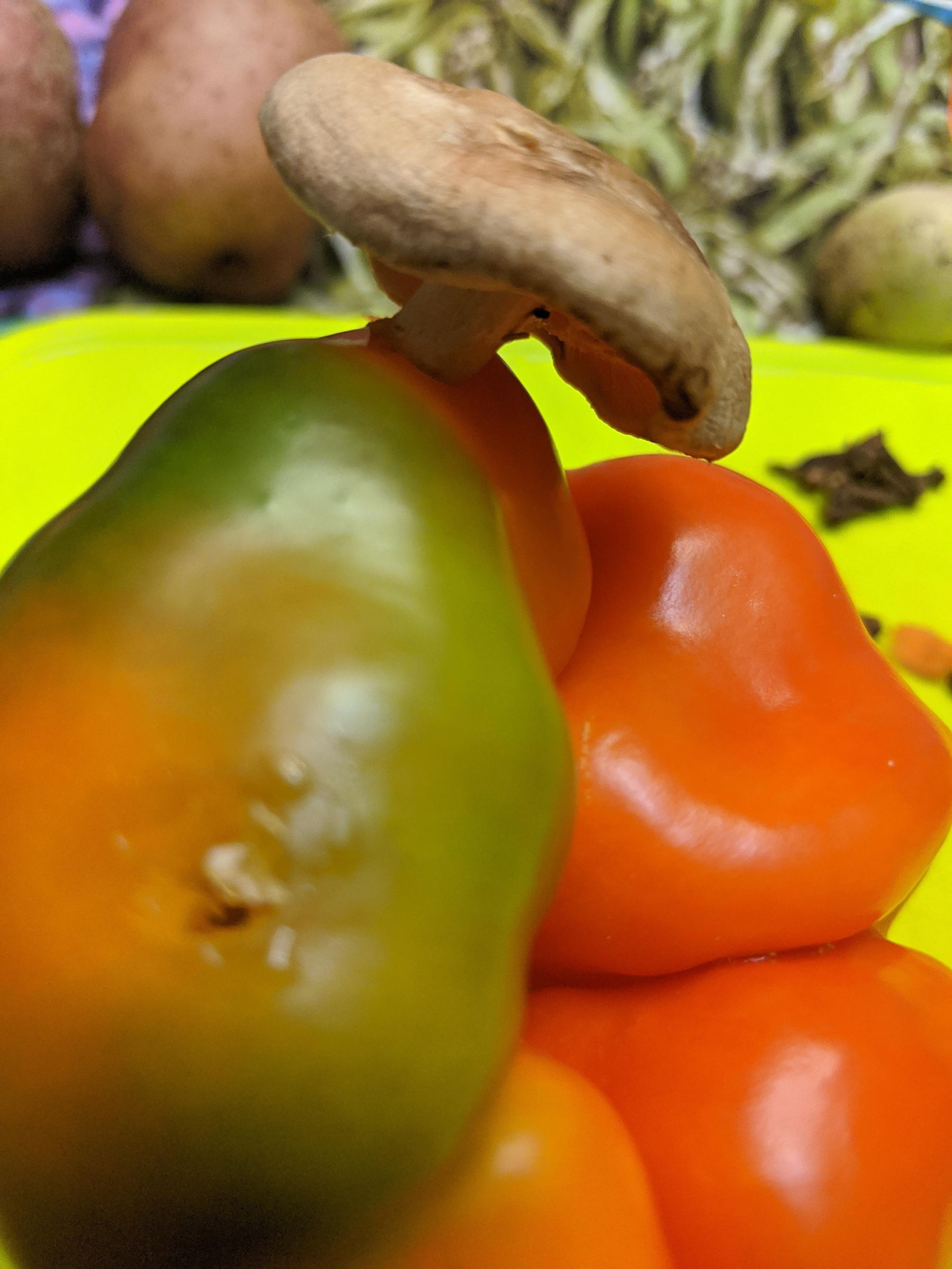 Feelings Vegetables 5 Steps Instructables